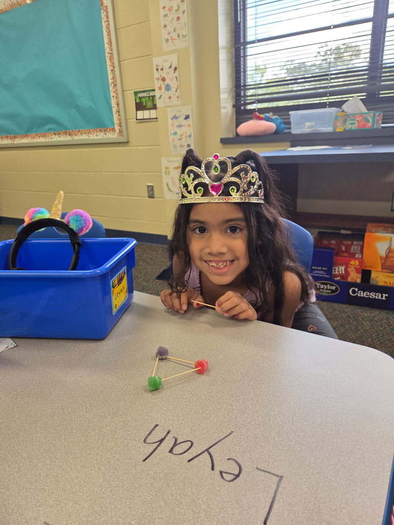 Kindergarten has been learning about 2d shapes.