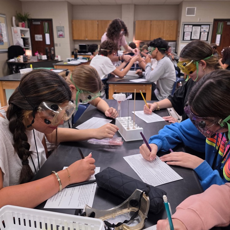 lab