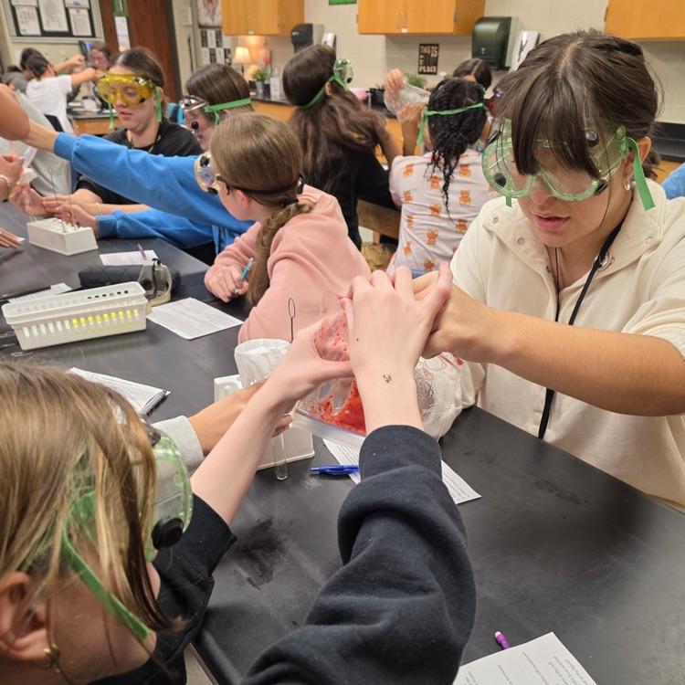 lab