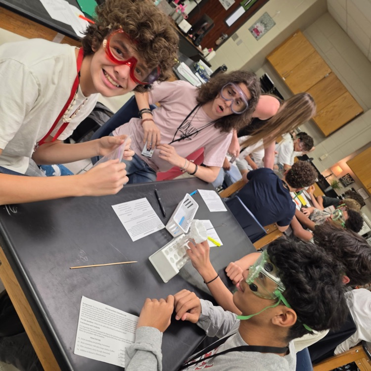 lab