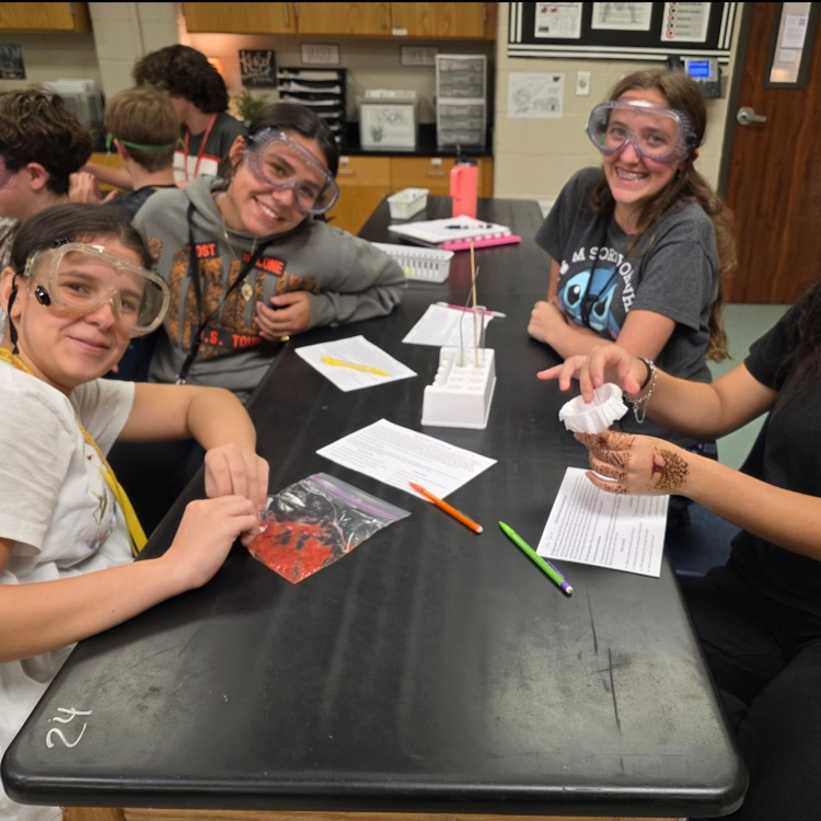 lab