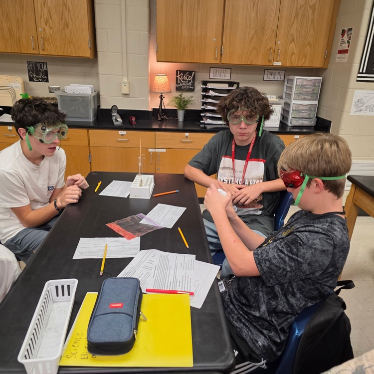 lab