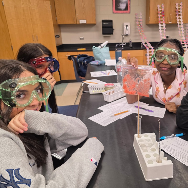 lab