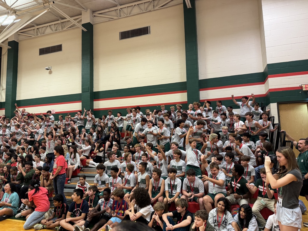 crowd