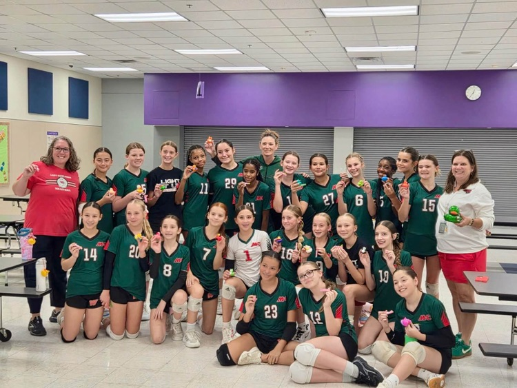 McC vball