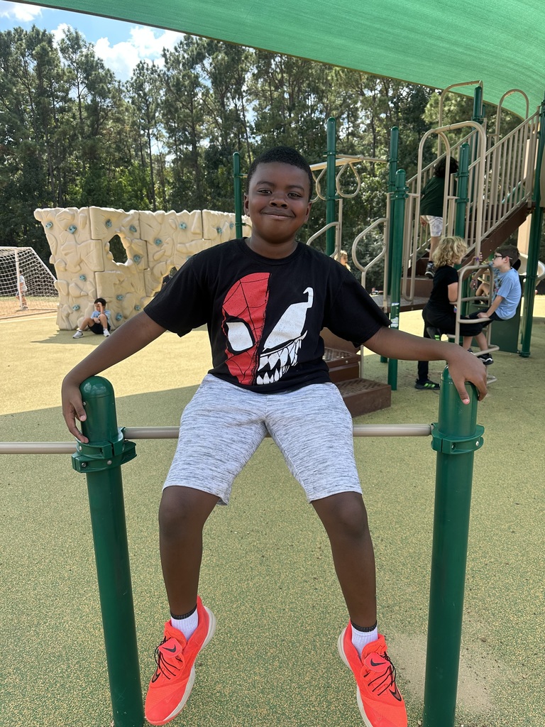 Monkey bars