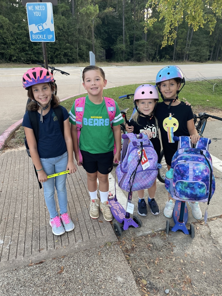 Walk to School