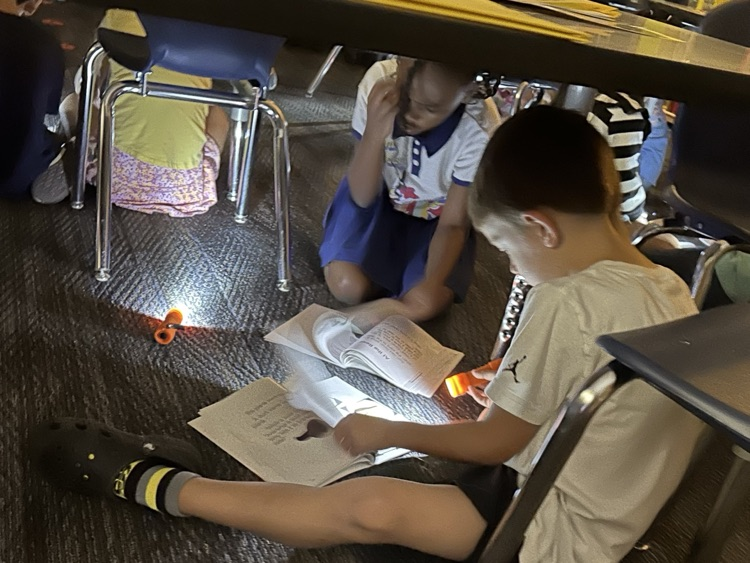 reading
