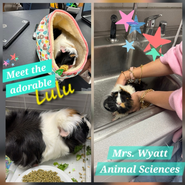 animal science