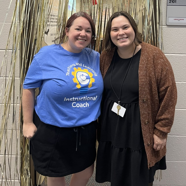 instructional coaches