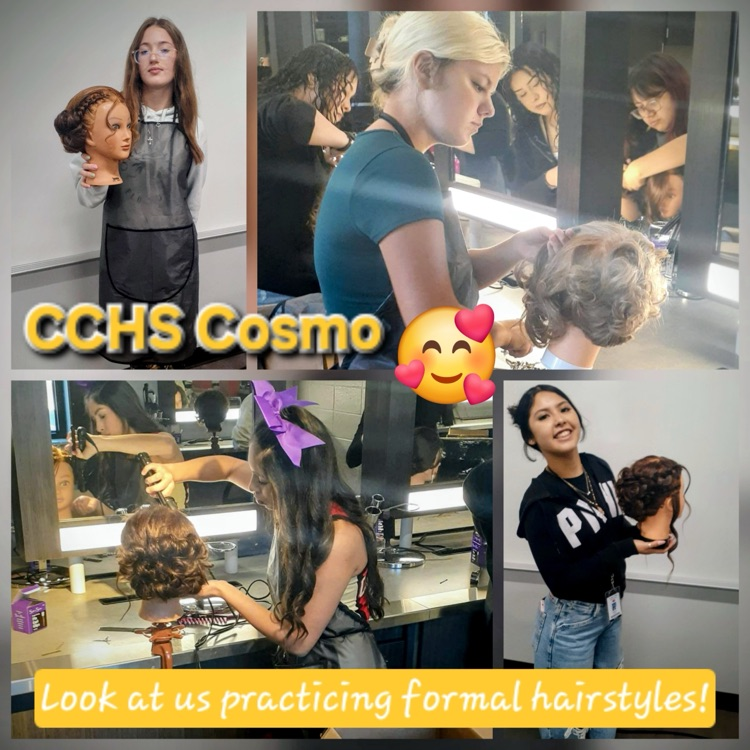 cosmetology