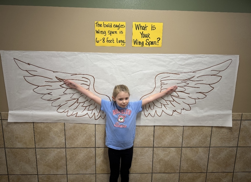 wings