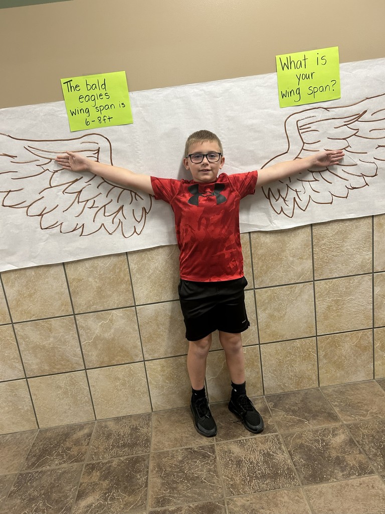 wings