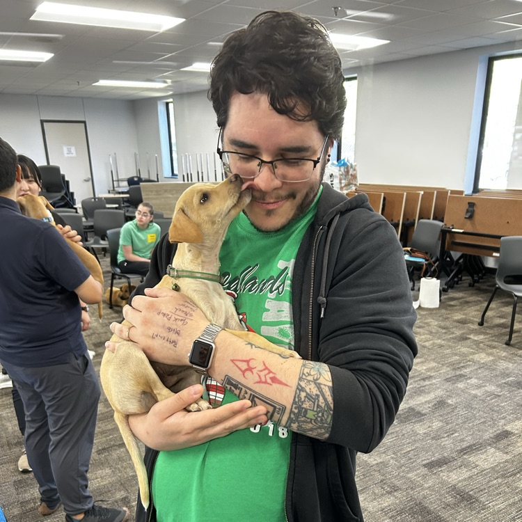 puppy