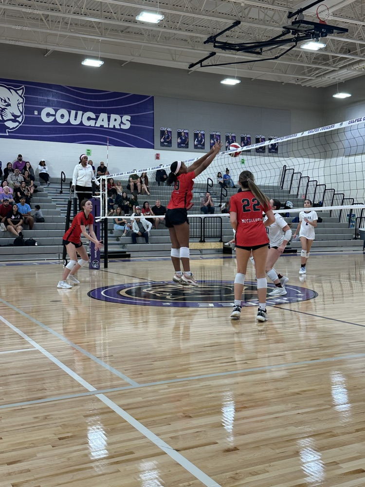 McC vball