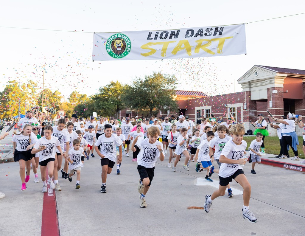 LionDash-088