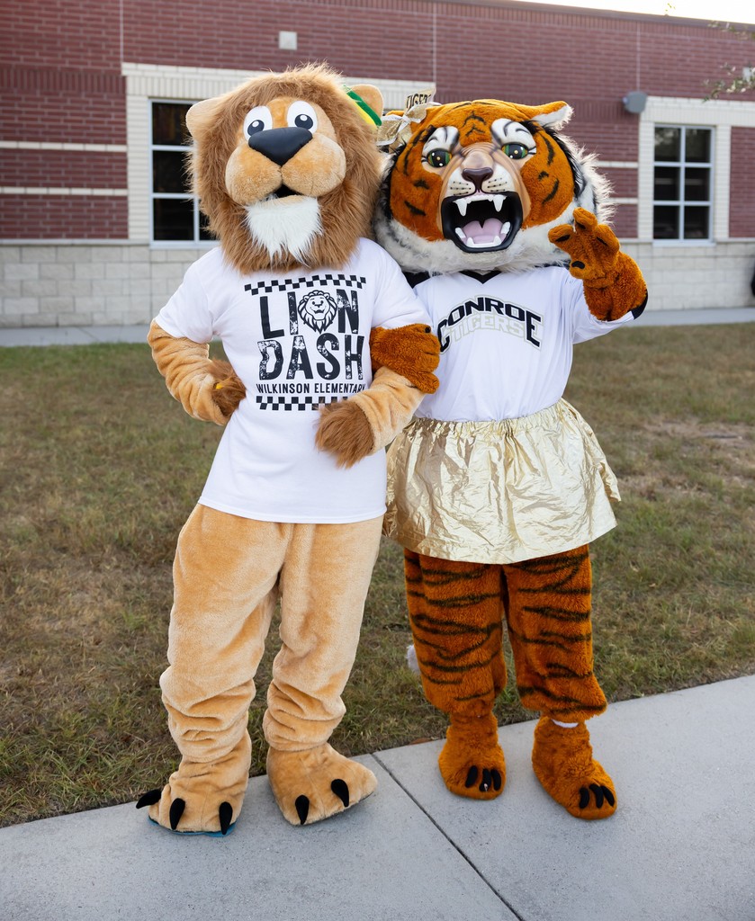 Lion Dash-08