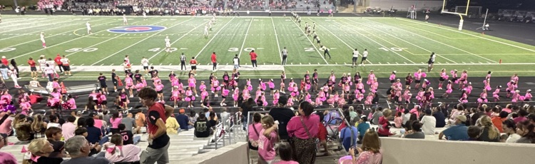 Little Panther Cheer