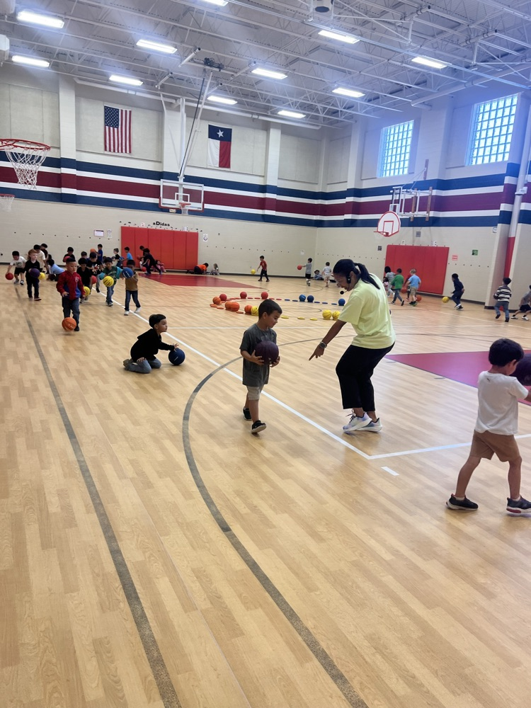 Kindergartners learning to dribble the basketball in PE