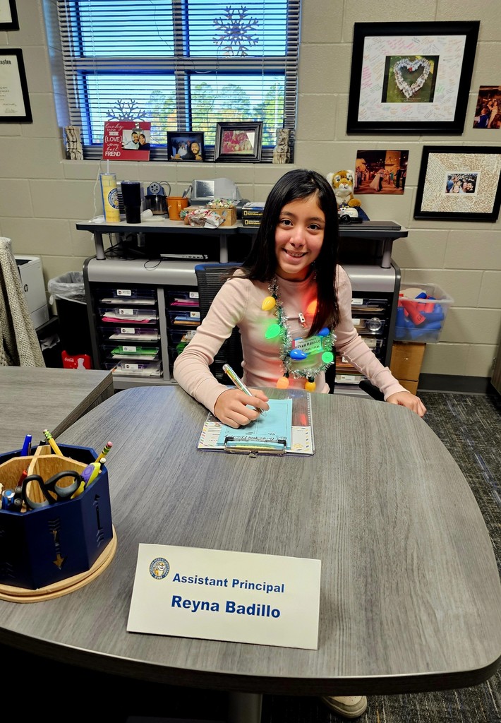 thumbnail_20251215_081015