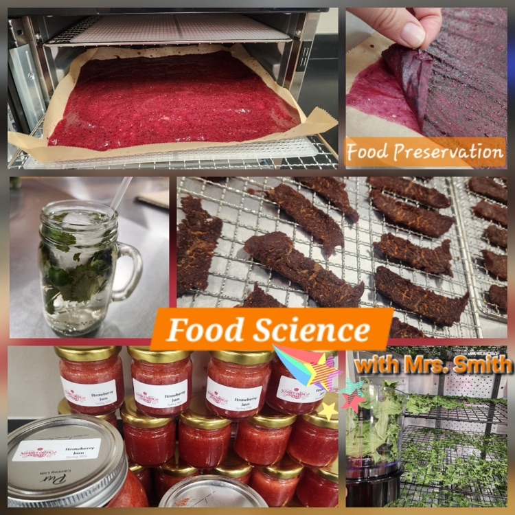 food sci