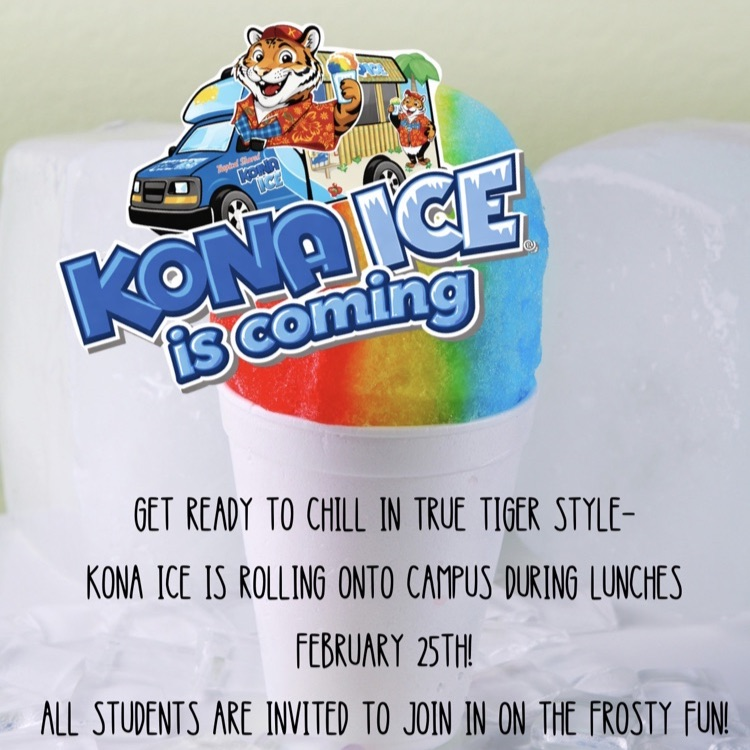 kona ice
