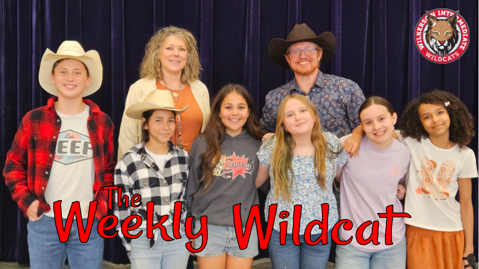 Weekly Newsletter Header