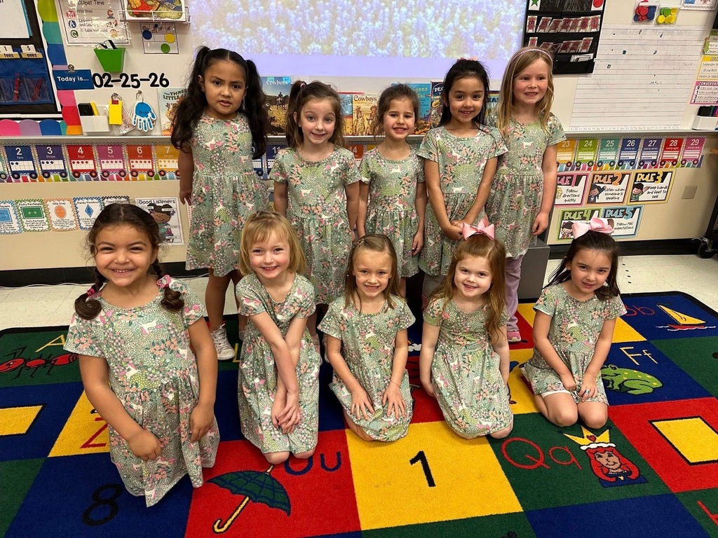 Ten girls posing for a photo, 5 kneeling and 5 standing, all in identical dresses.