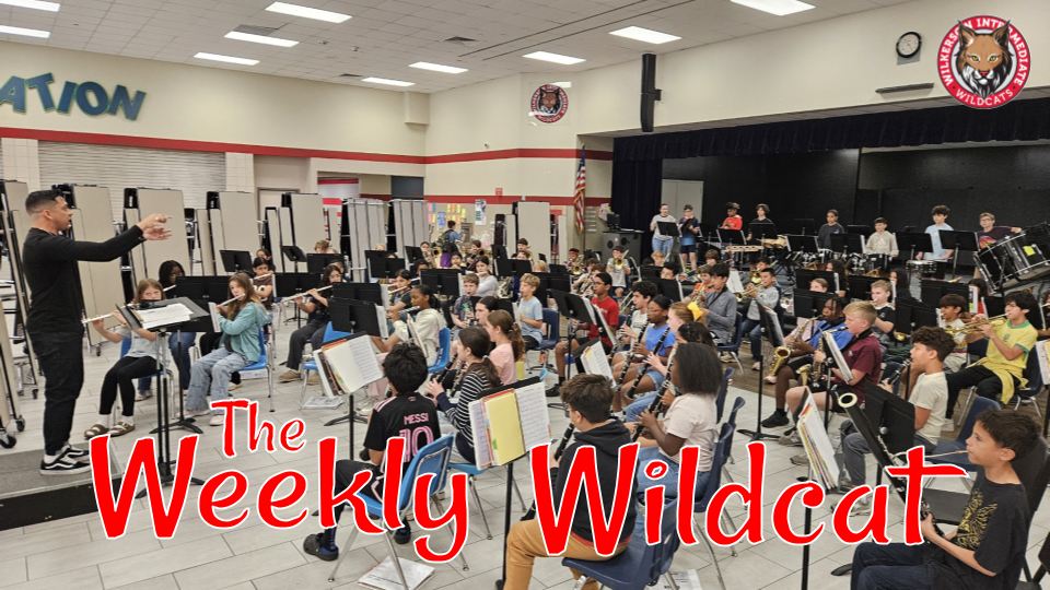 Weekly Wildcat Newsletter
