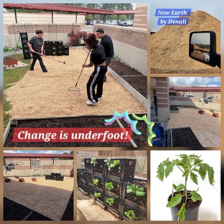 CCHS Campus garden is blooming