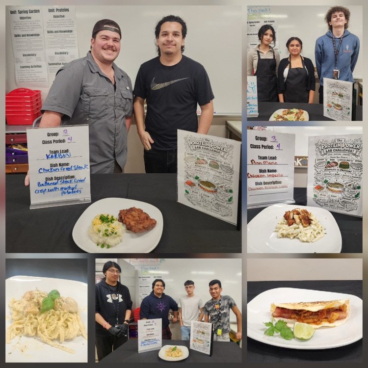 protein challenge in food science class