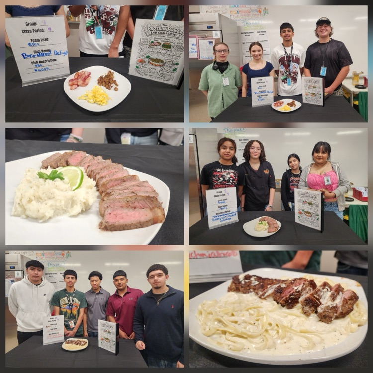 protein challenge in food science class