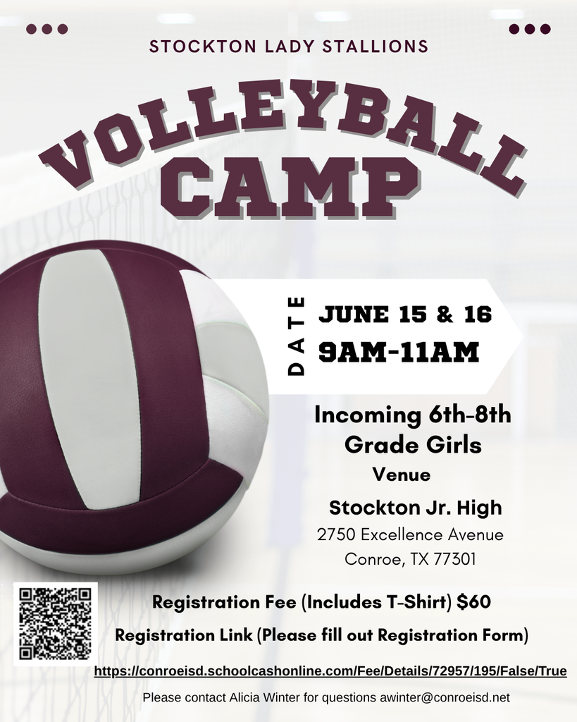 Volleyball Flyer