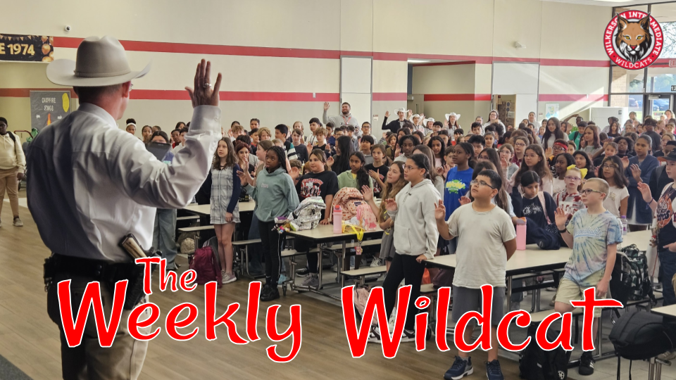 Weekly Newsletter Header