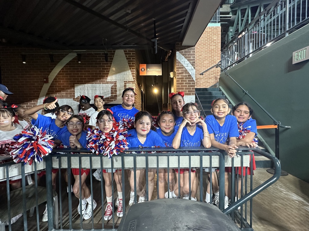 Our awesome Falcon Cheer Squad performed at the Astros game 