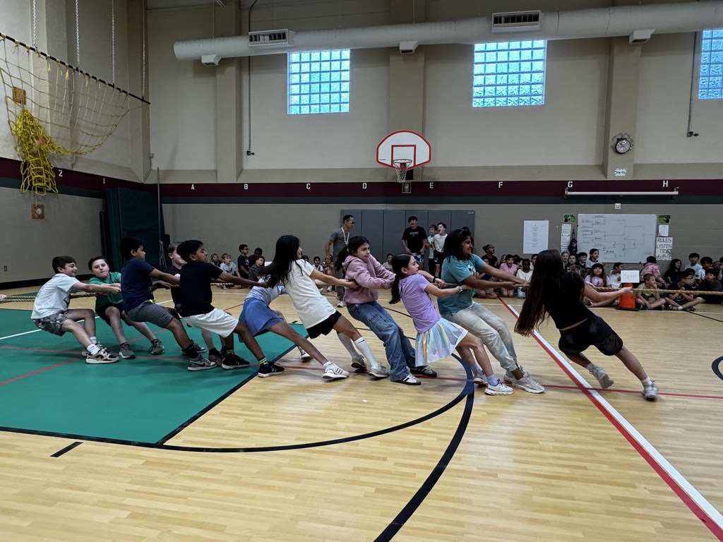 tug of war