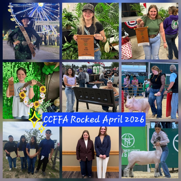 FFA Recap