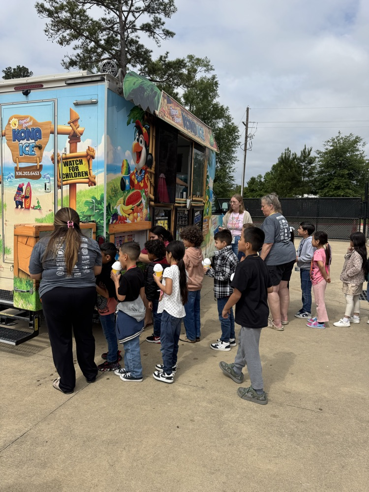 Kona ice 