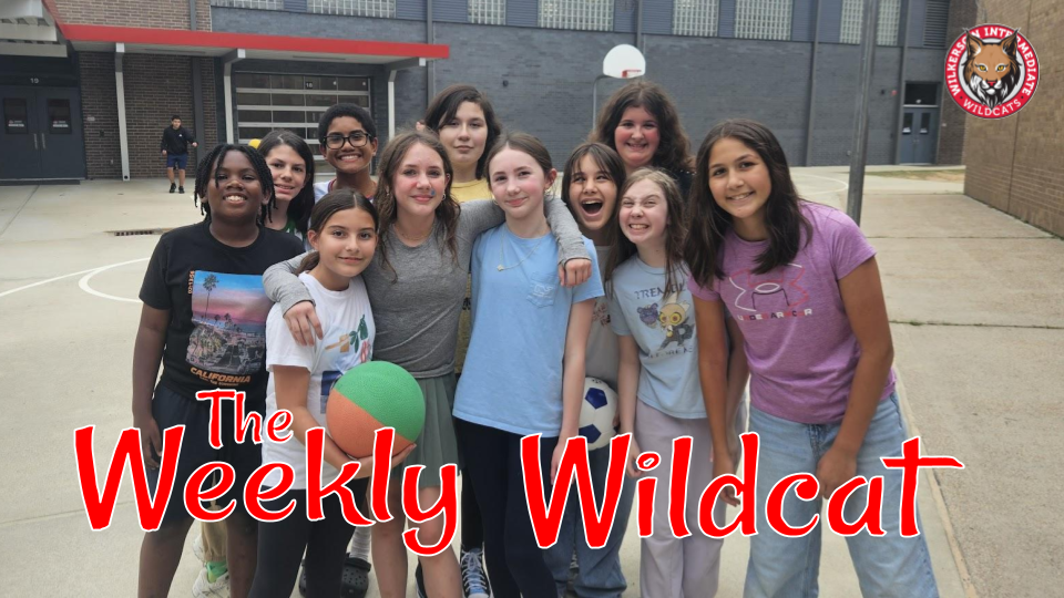 Weekly Newsletter Header