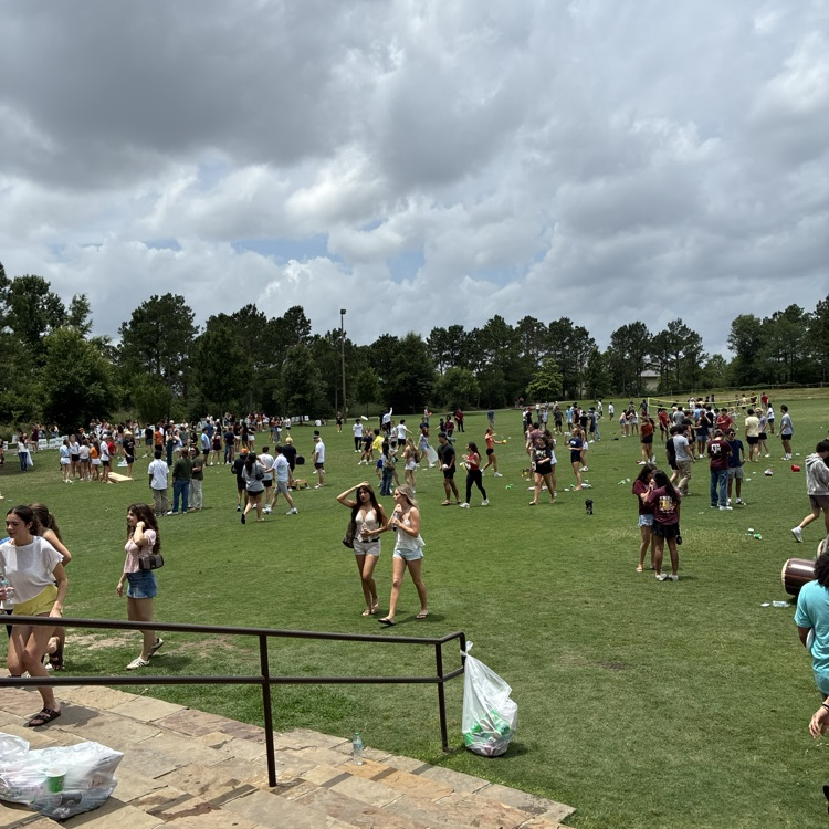 senior picnic