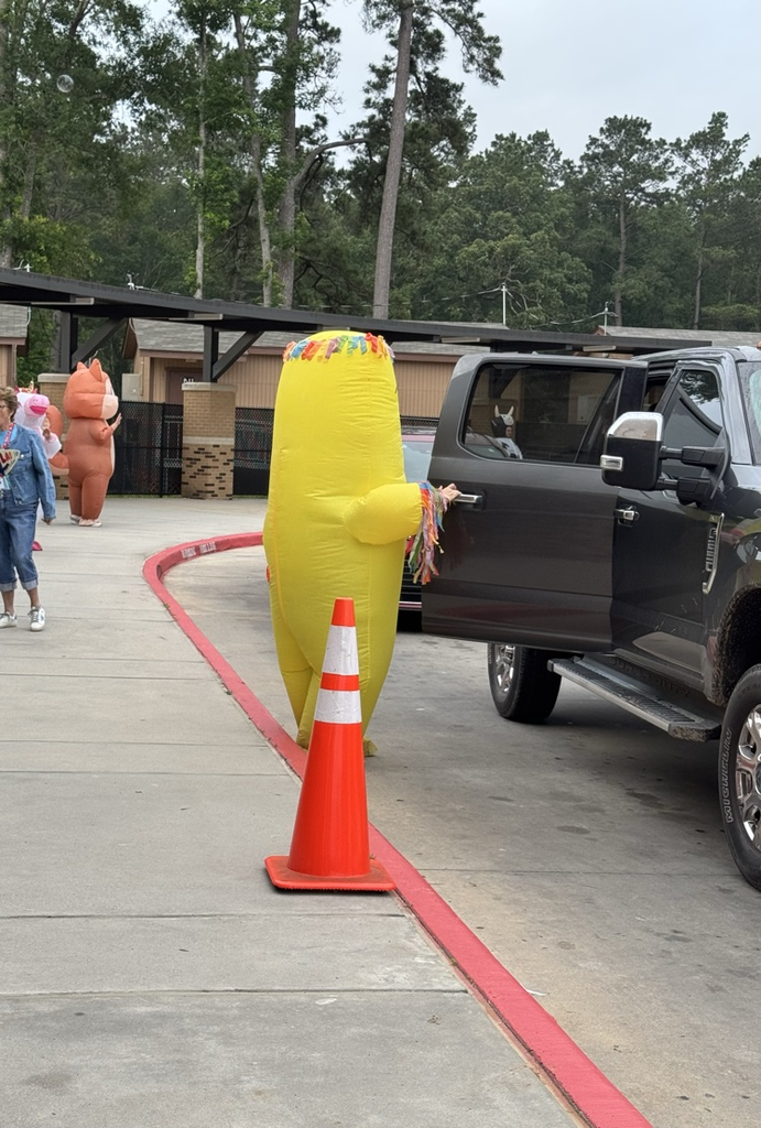car rider line 