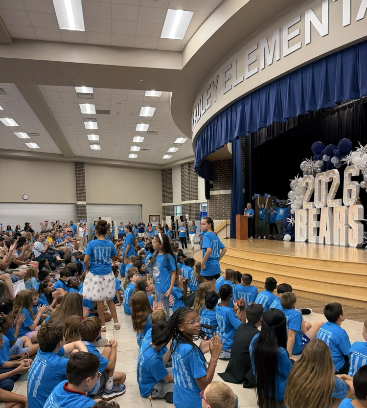 Student Ambassador