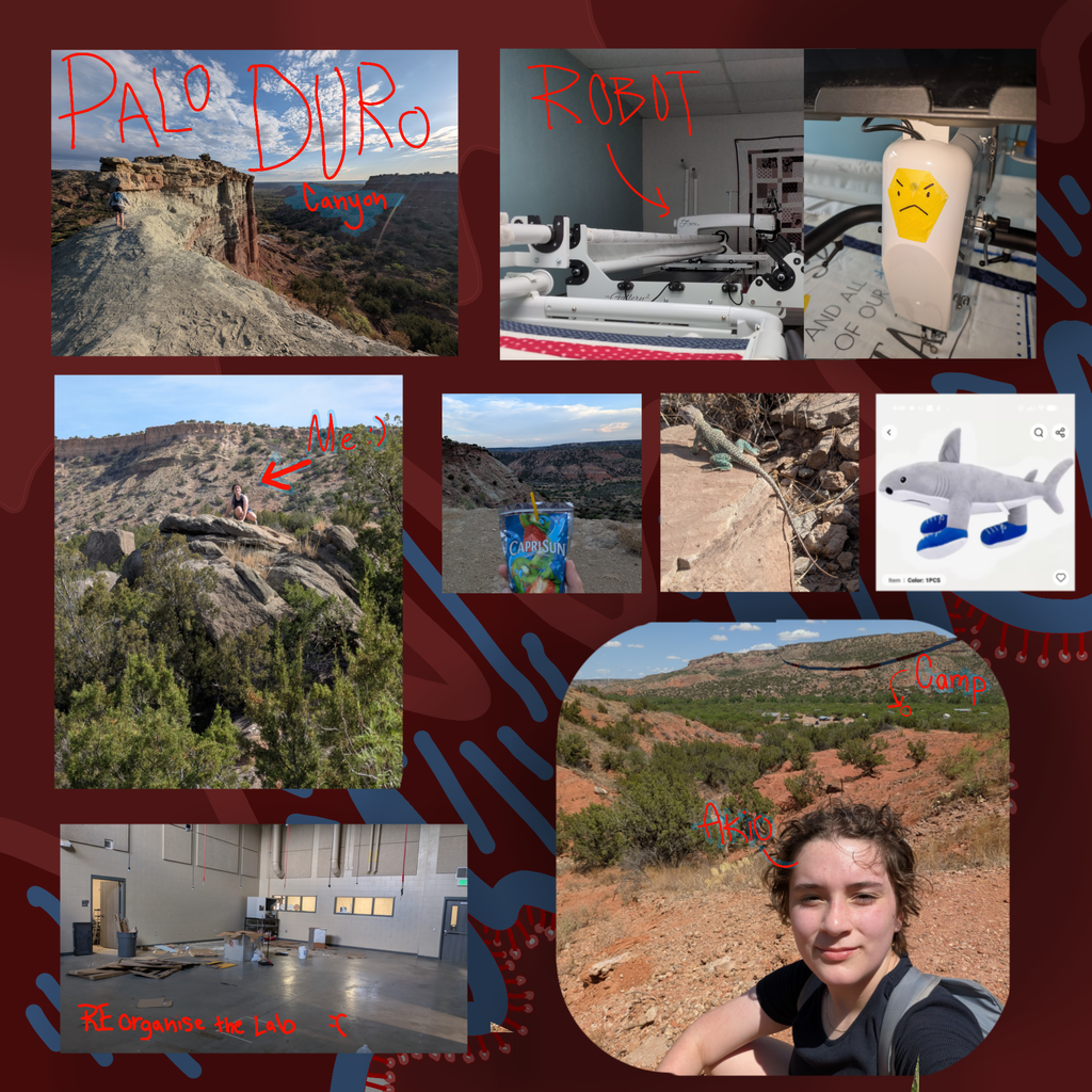 Collage of Palo Duro canyon scenery and wildlife with a few shots of the robotics lab and other equipment.