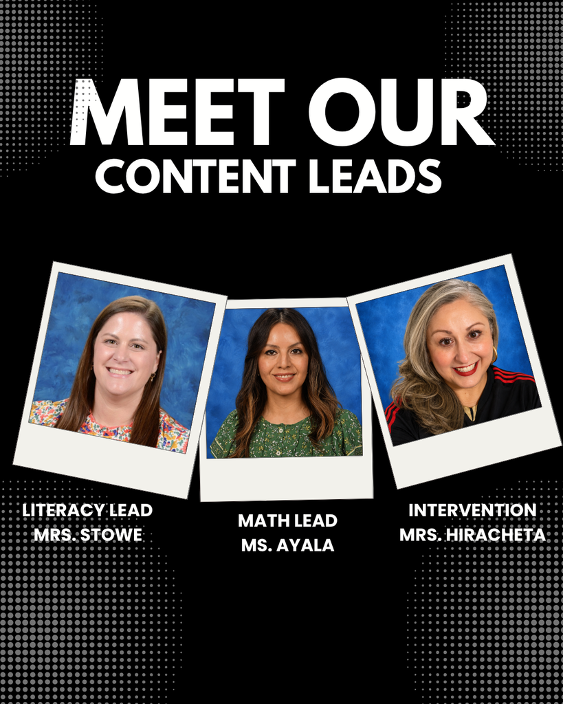 MEET OUR CONTENT LEADS