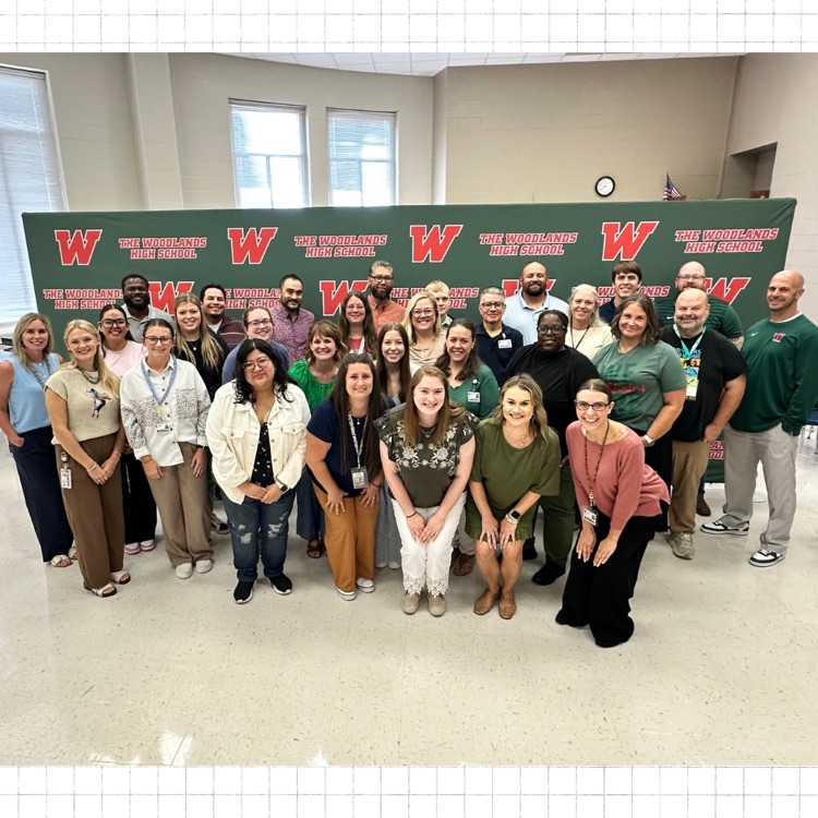 new teachers 