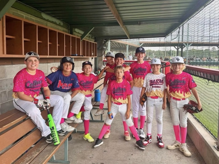 baseball