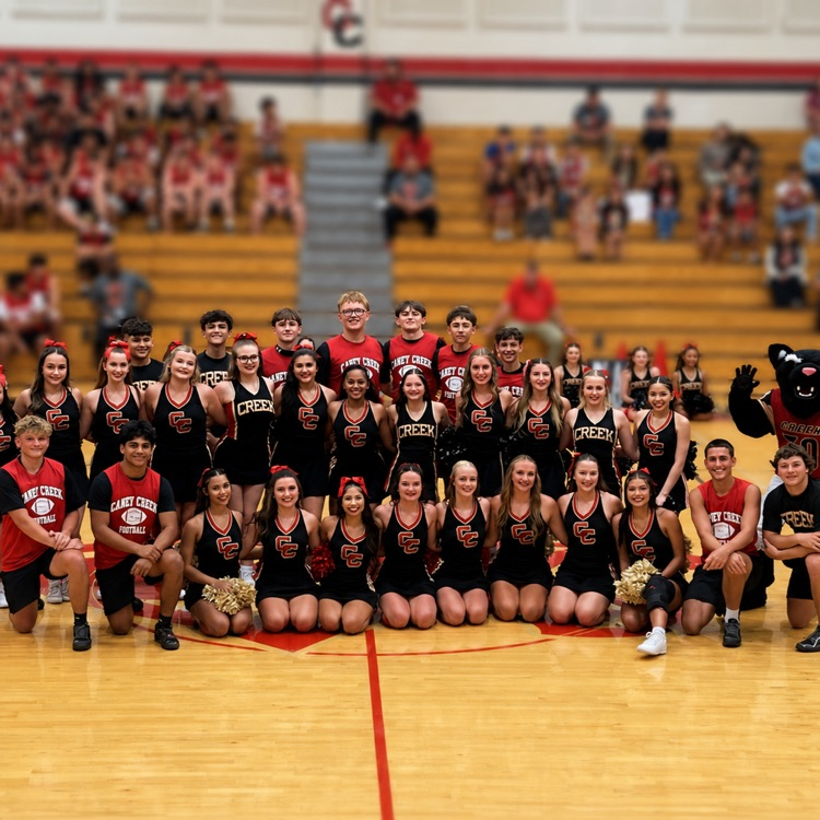 meet the panthers