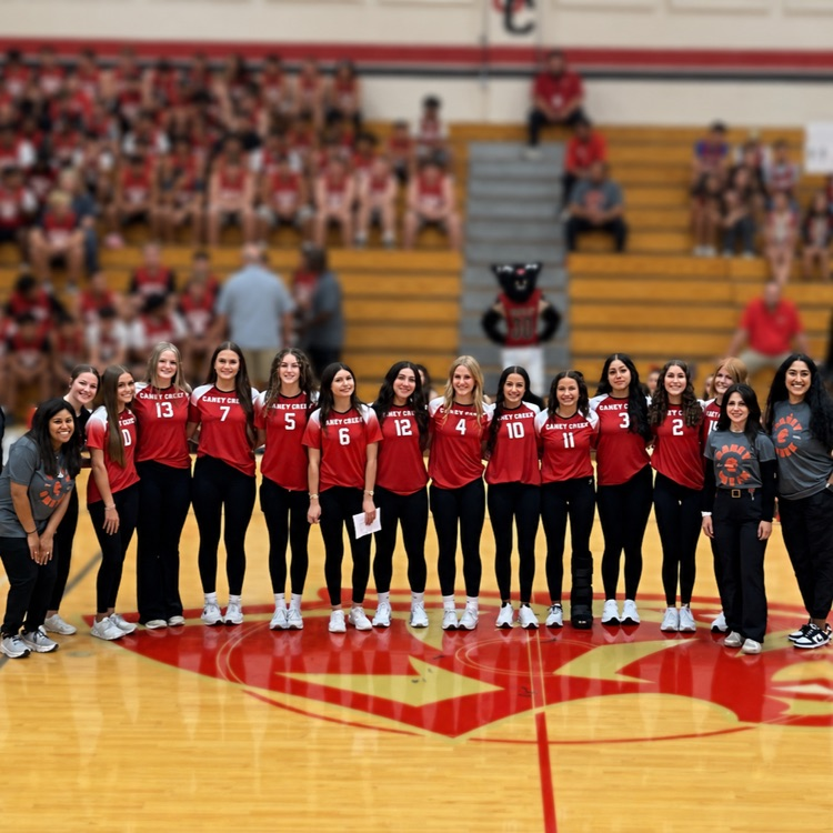 meet the panthers
