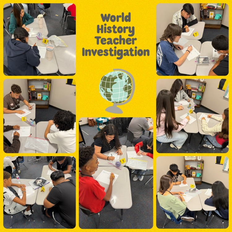 world history investigation activity