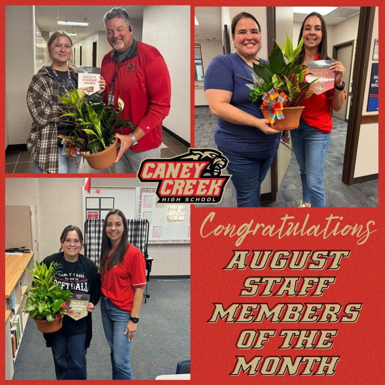 ccp winners of the month